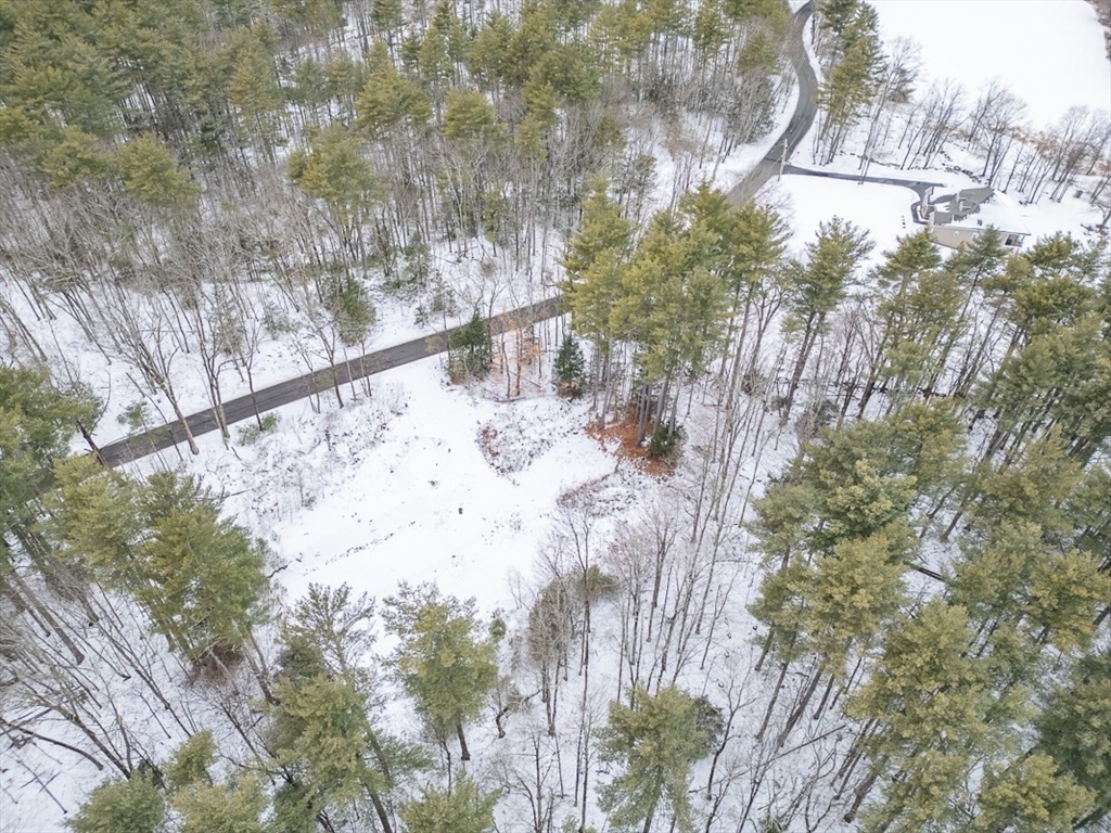 53 West Meadow Road Townsend, MA 01474 - Photo 18 of 21 a view of a tree with a yard