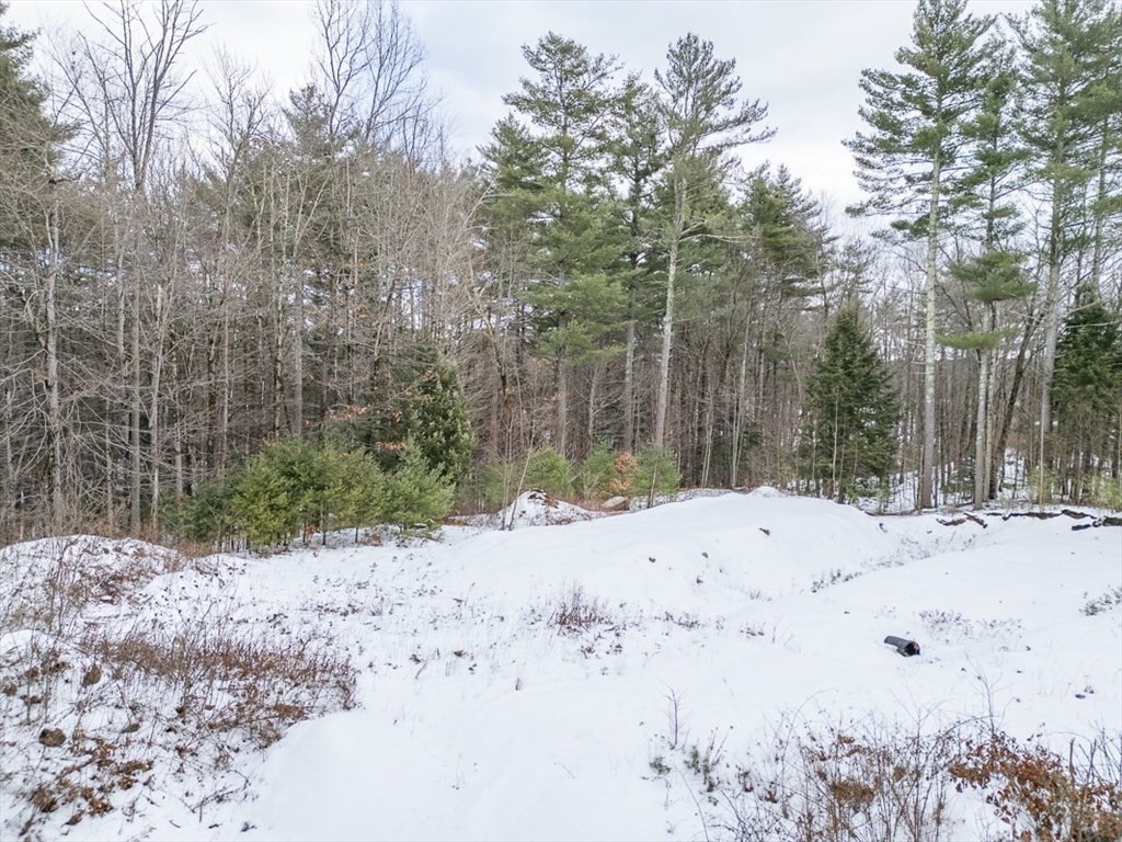 53 West Meadow Road Townsend, MA 01474 - Photo 10 of 21 a view of a dry yard covered with snow in the background