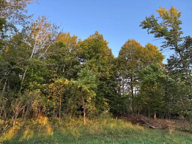 $124,000 | Lot 4-24628 Northeast Rock Lake Road, Rochert, MN 56578