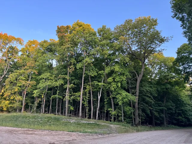 $124,000 | Lot 4-24628 Northeast Rock Lake Road, Rochert, MN 56578