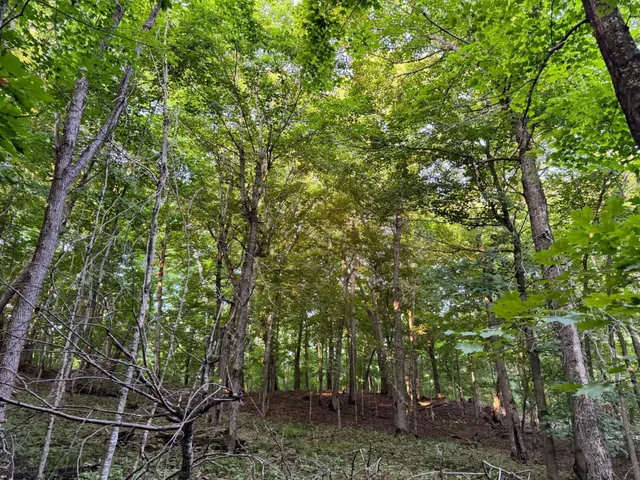 $124,000 | Lot 4-24628 Northeast Rock Lake Road, Rochert, MN 56578