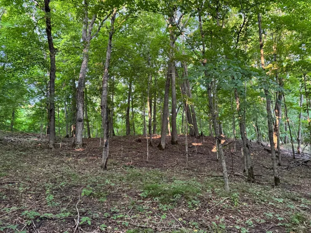 $124,000 | Lot 4-24628 Northeast Rock Lake Road, Rochert, MN 56578