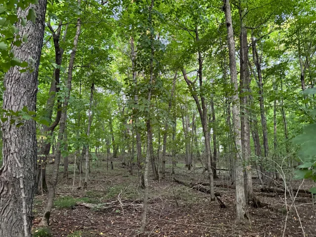 $124,000 | Lot 4-24628 Northeast Rock Lake Road, Rochert, MN 56578