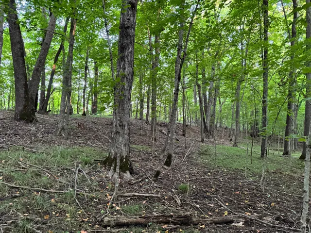 $124,000 | Lot 4-24628 Northeast Rock Lake Road, Rochert, MN 56578