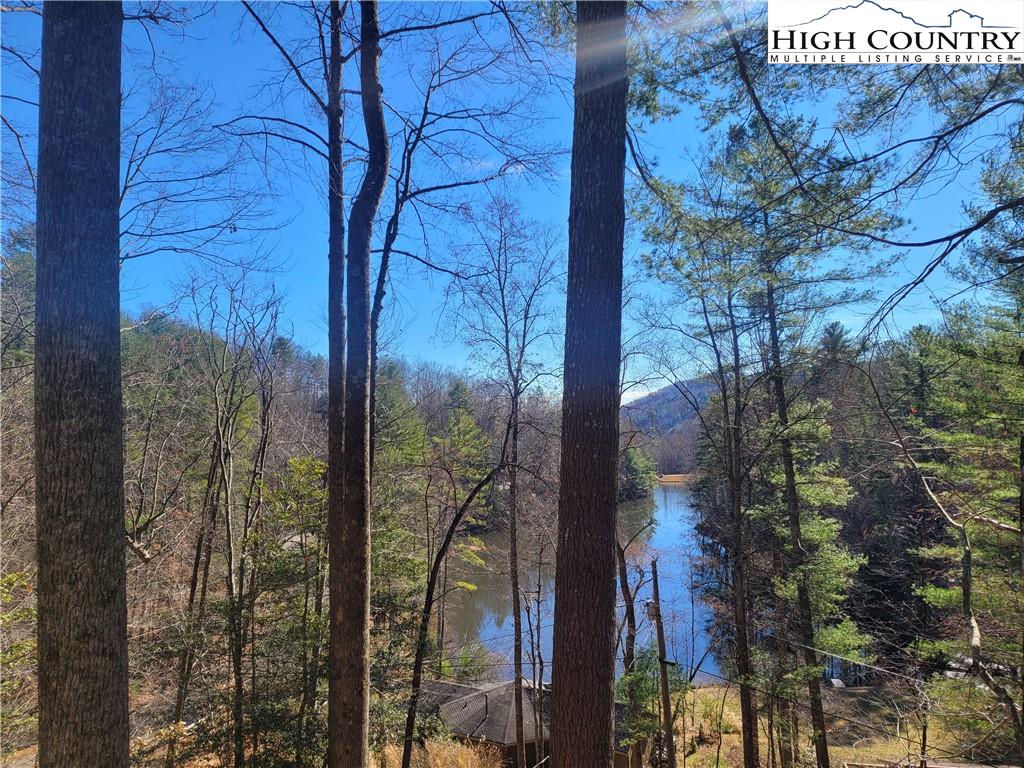 128 Trout Lake Road Deep Gap, NC 28618 - Photo 28 of 42 Gallery Image 28