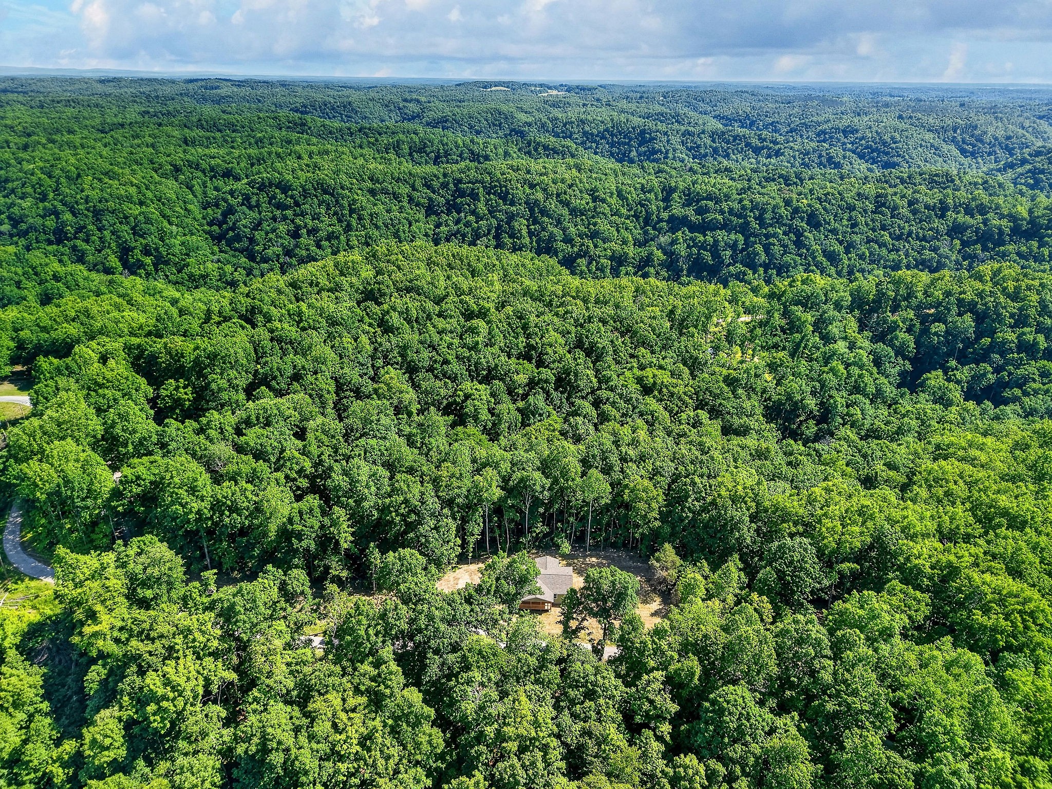 1053 Benton Tidwell Road Hilham, TN 38568 - Photo 36 of 39 a view of a lush green forest