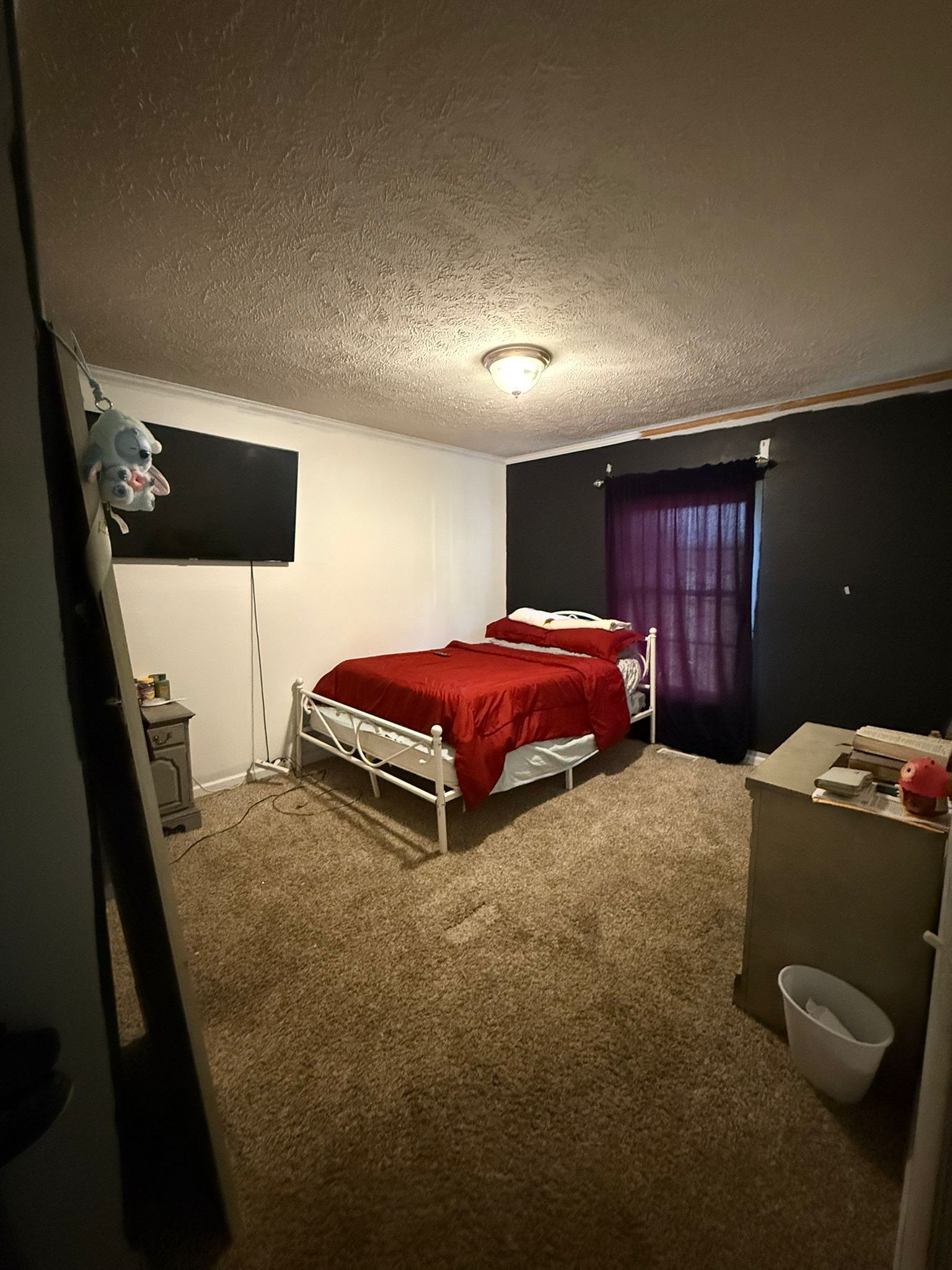 4920 Youngville Road Springfield, TN 37172 - Photo 28 of 54 a bed room with a bed and a television