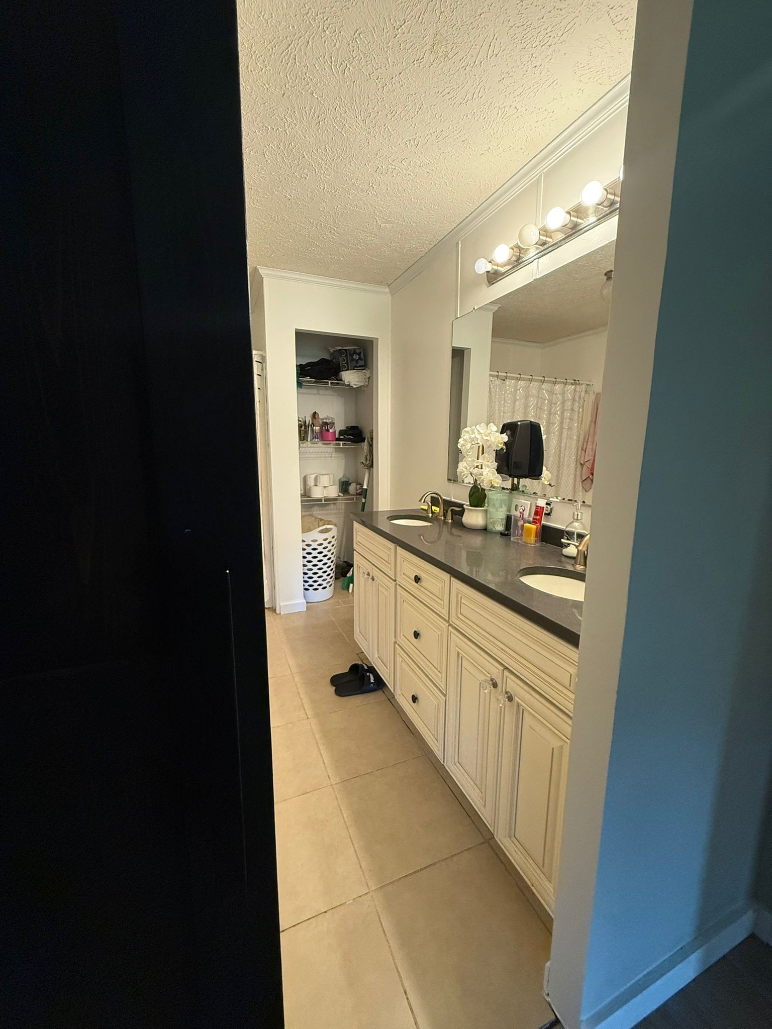 4920 Youngville Road Springfield, TN 37172 - Photo 30 of 54 a large bathroom with a sink a mirror and a bathtub