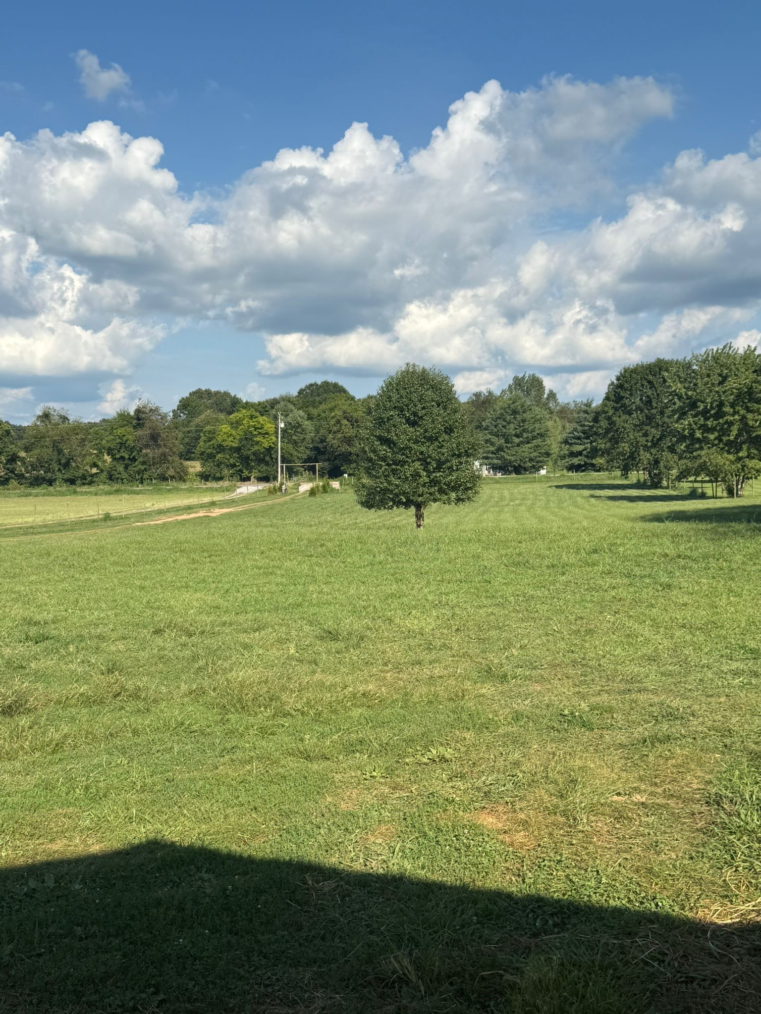 4920 Youngville Road Springfield, TN 37172 - Photo 39 of 54 a view of an ocean from a yard