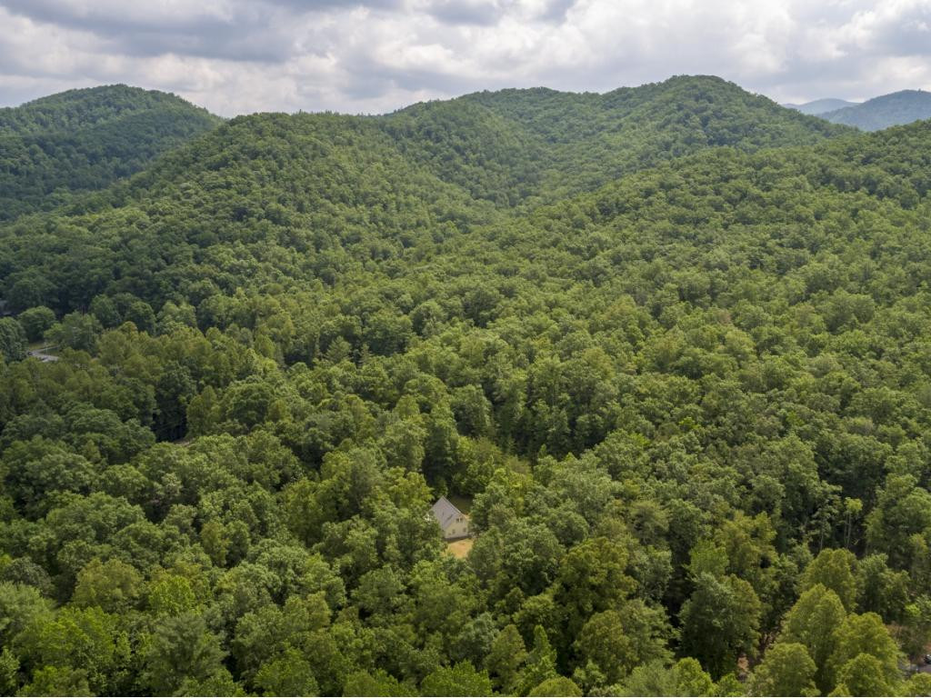 170 J B Griffith Road Erwin, TN 37650 - Photo 8 of 27 Adjacent to Cherokee National Forest