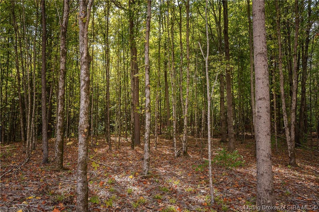 25331 Jackson Road Borden, IN 47106 - Photo 48 of 63