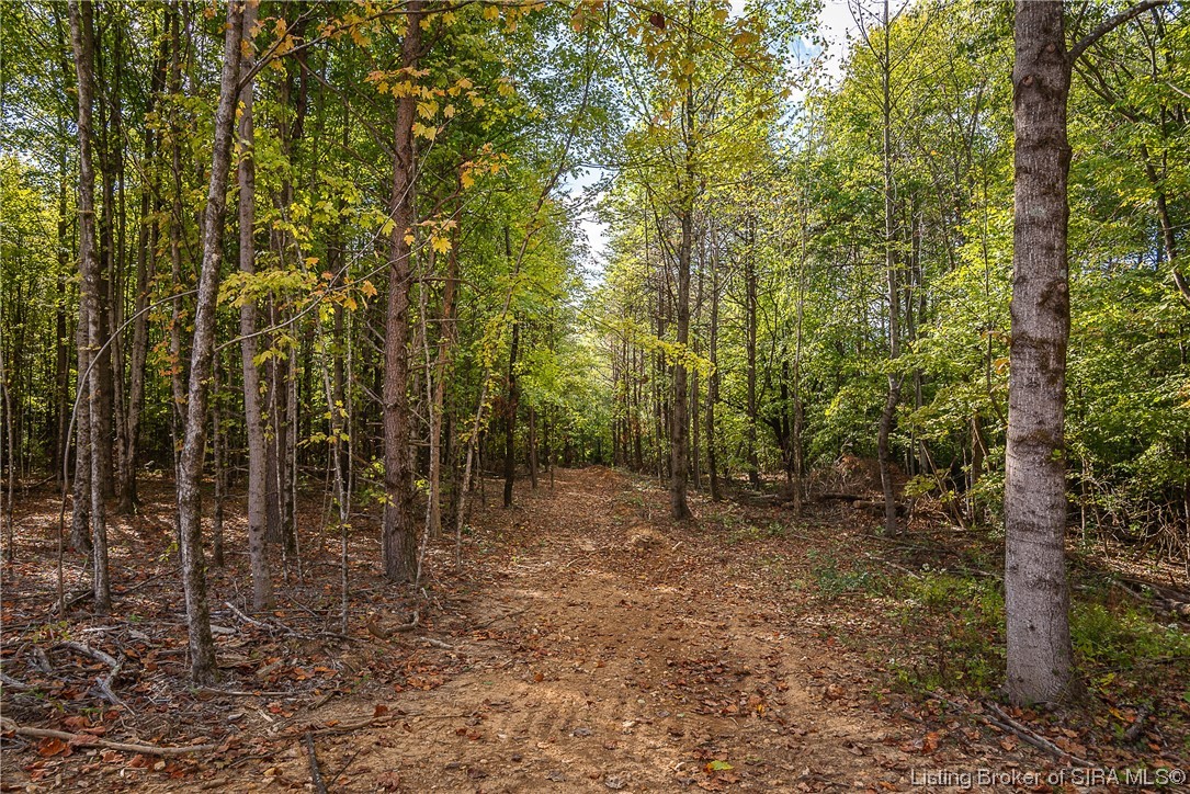25331 Jackson Road Borden, IN 47106 - Photo 5 of 63
