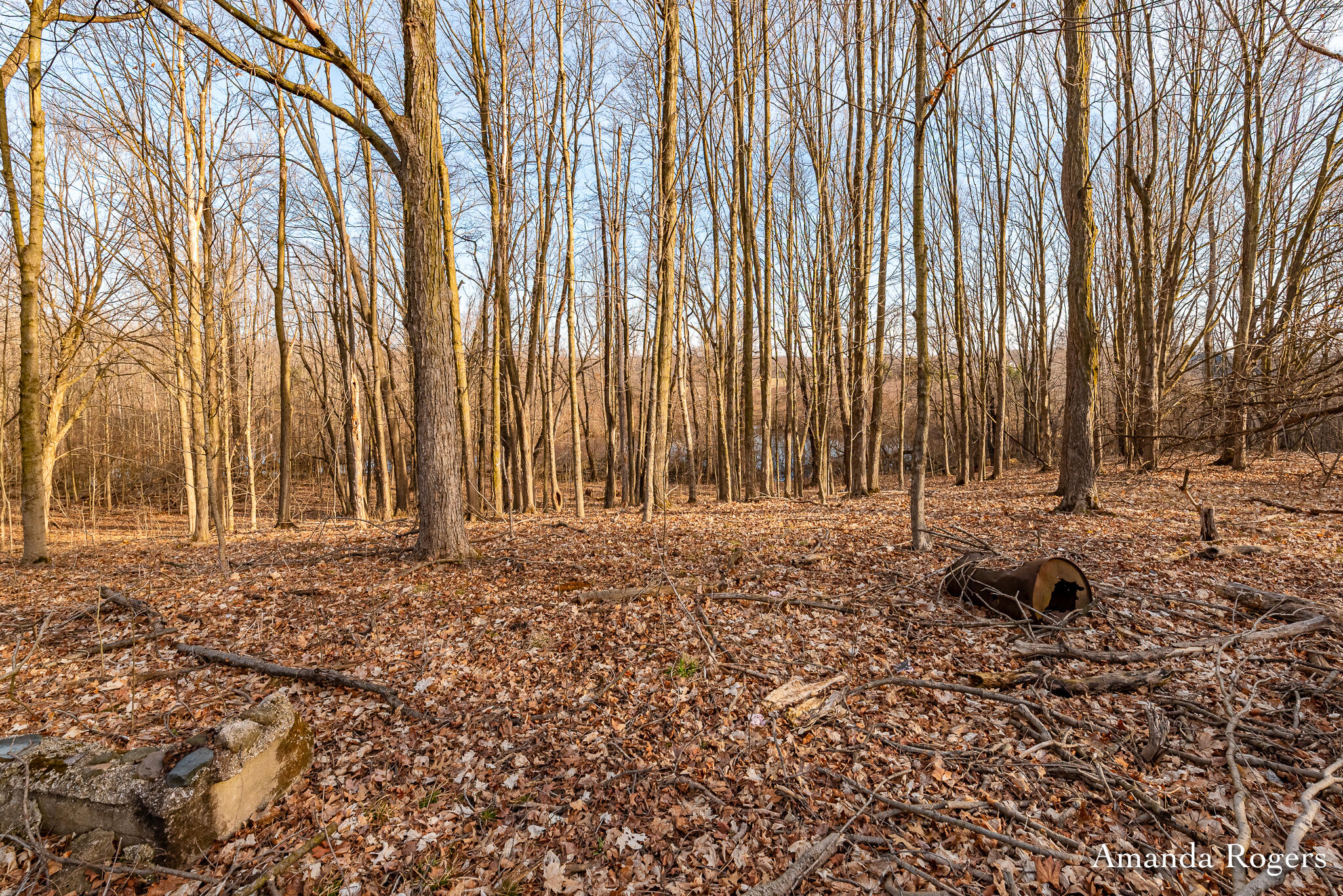 14047 4 Mile Road Northeast Lowell, MI 49331 - Photo 4 of 26 RHPRE_260330_011