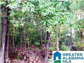 Lakeridge Drive, Unit 4 Ashville, AL 35953 - Photo 17 of 19