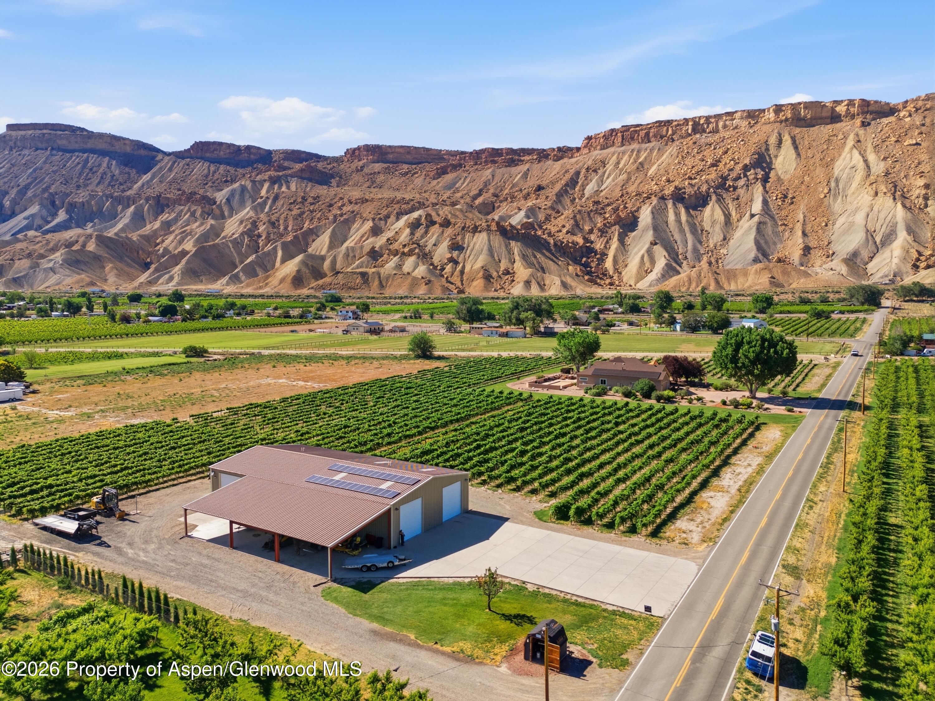 759 36 3/10 Road Palisade, CO 81526 - Photo 5 of 41 Vineyard, Shop and Custom Home