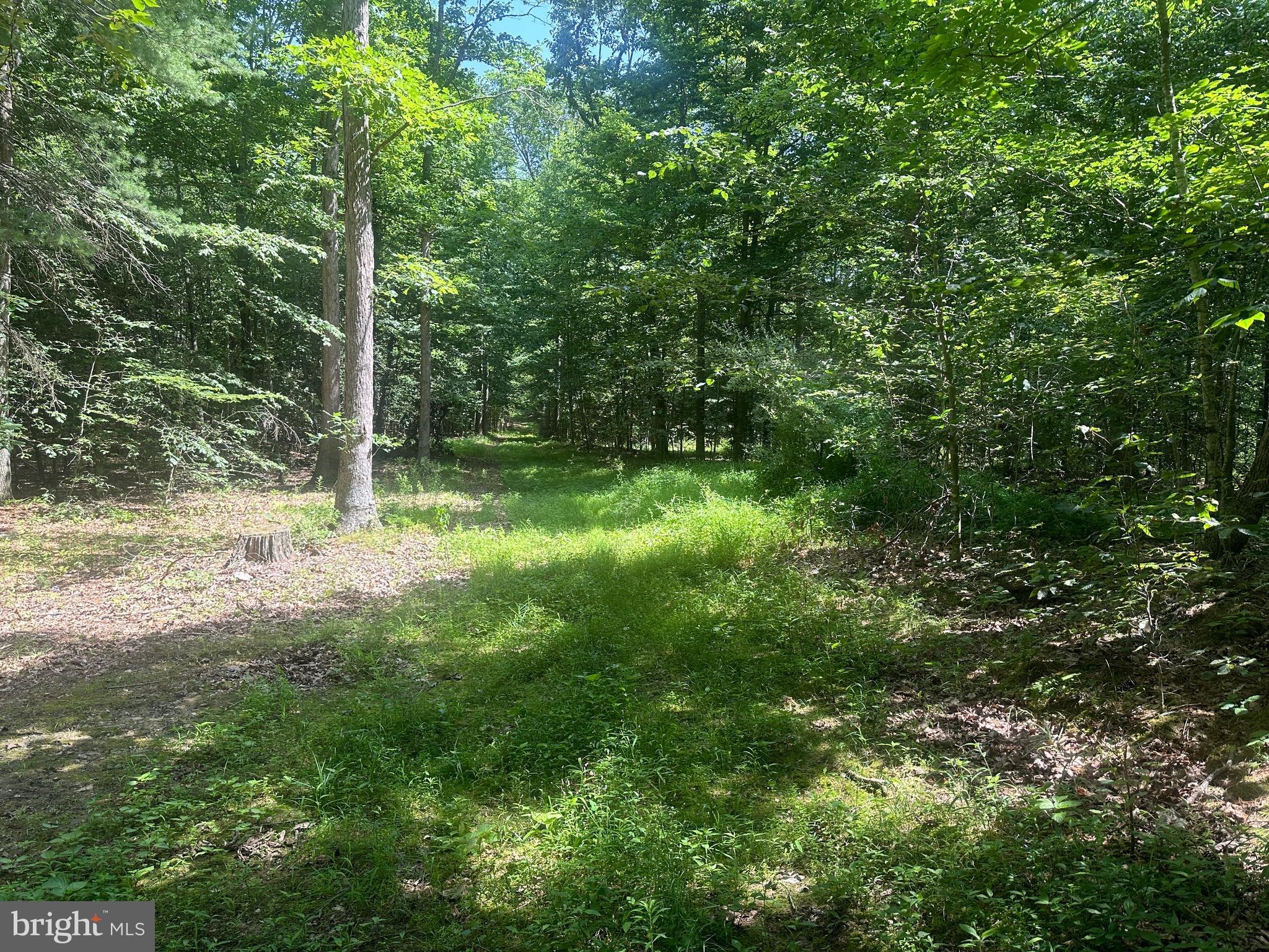 14110 Indian Springs Road Big Pool, MD 21711 - Photo 21 of 30