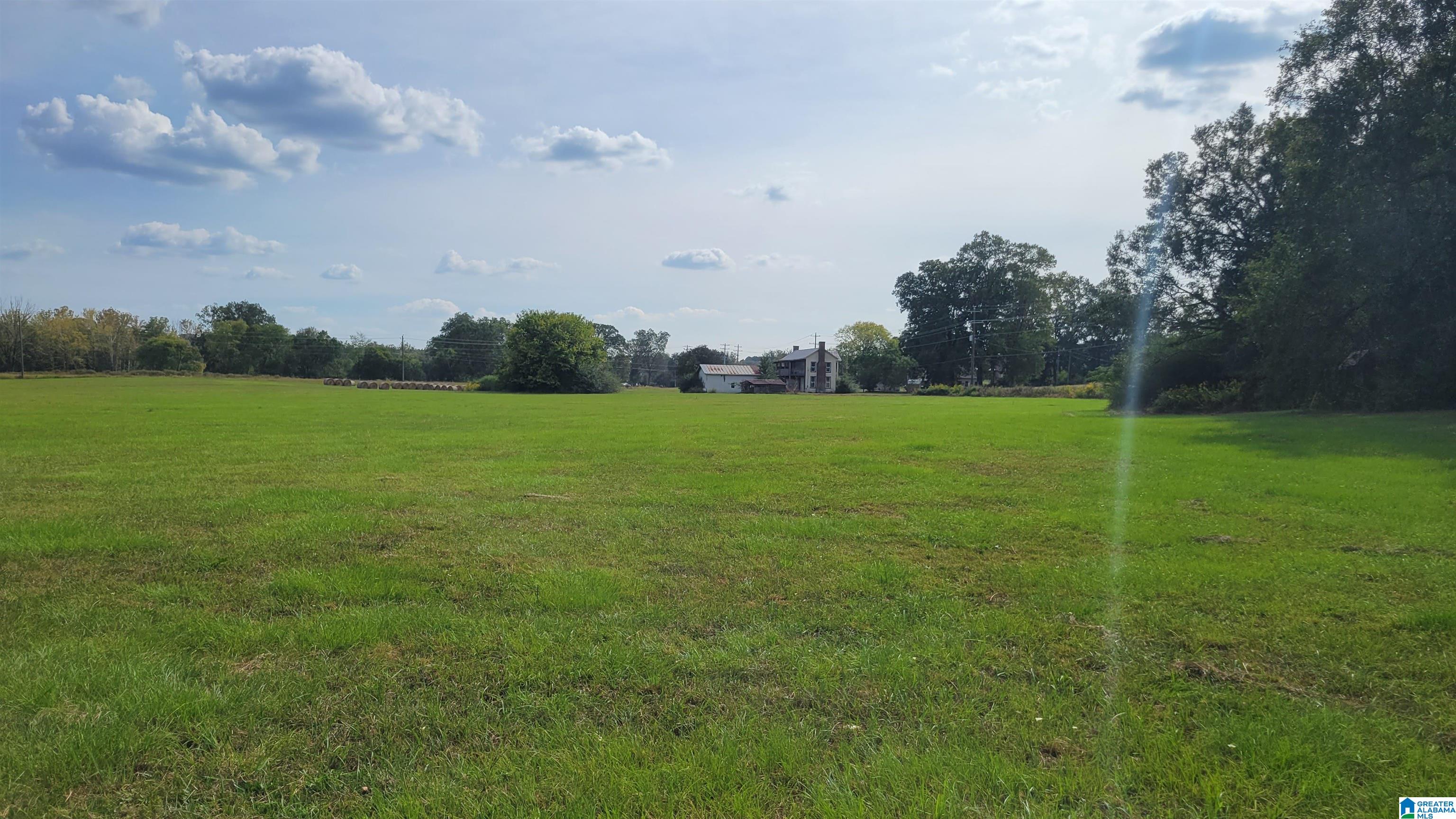 116 Holly Hills Road Lincoln, AL 35096 - Photo 25 of 26