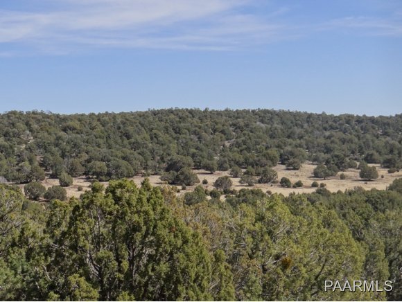 51 Shadow Rock Ranch Seligman, AZ 86337 - Photo 12 of 14 Additional Photo