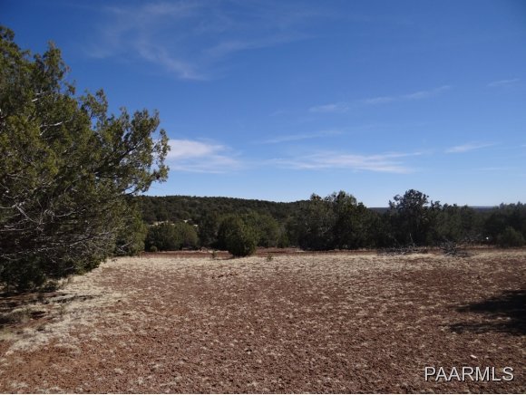 51 Shadow Rock Ranch Seligman, AZ 86337 - Photo 10 of 14 Additional Photo