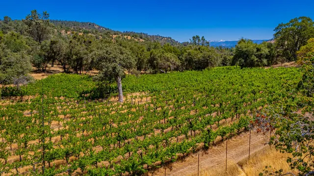 $875,000 | 49610 House Ranch Road, O'Neals, CA 93645