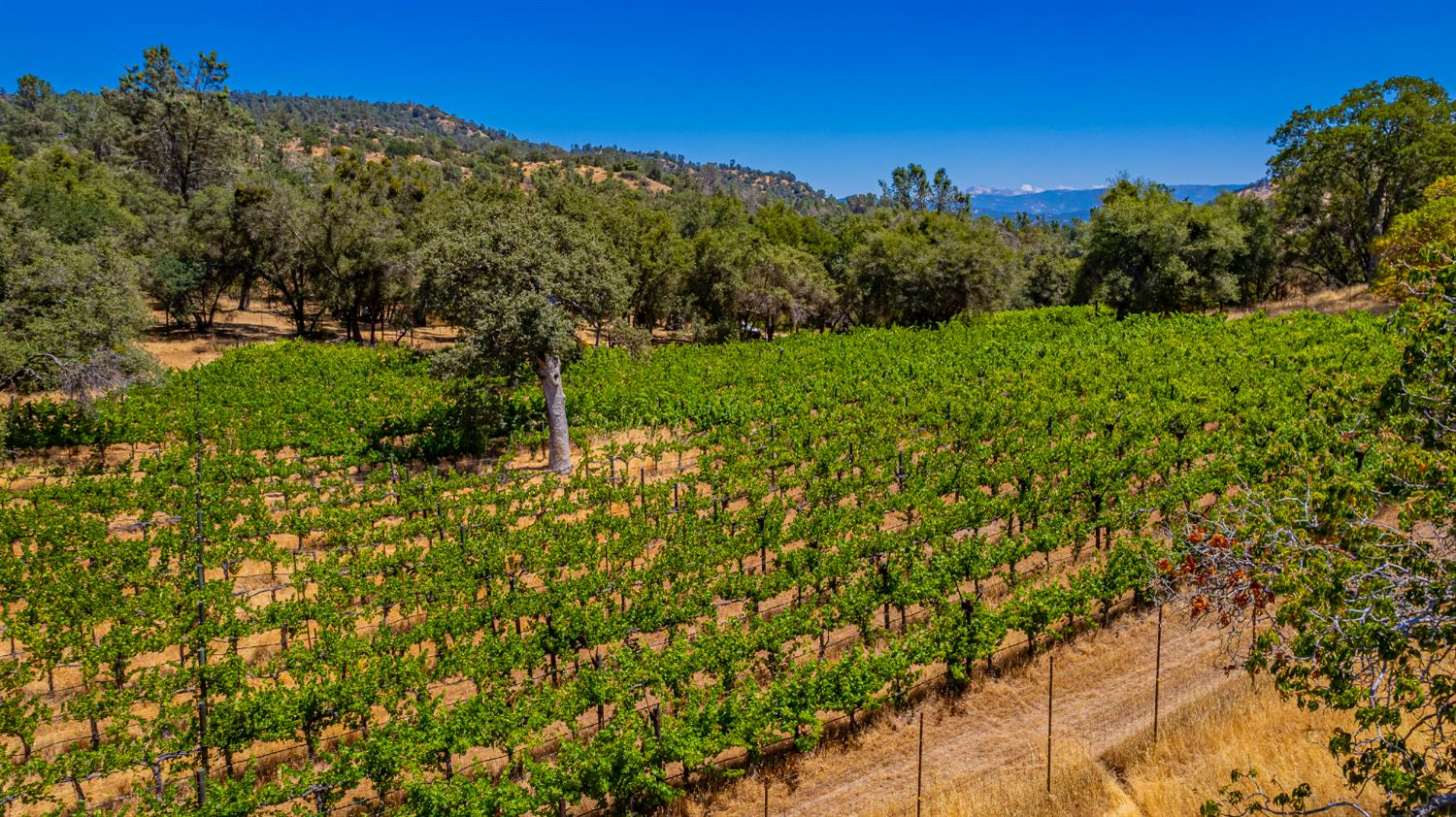 49610 House Ranch Road O'Neals, CA 93645 - Photo 26 of 49