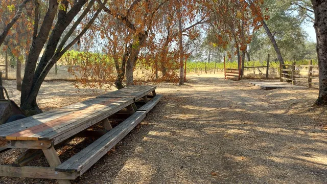 $875,000 | 49610 House Ranch Road, O'Neals, CA 93645