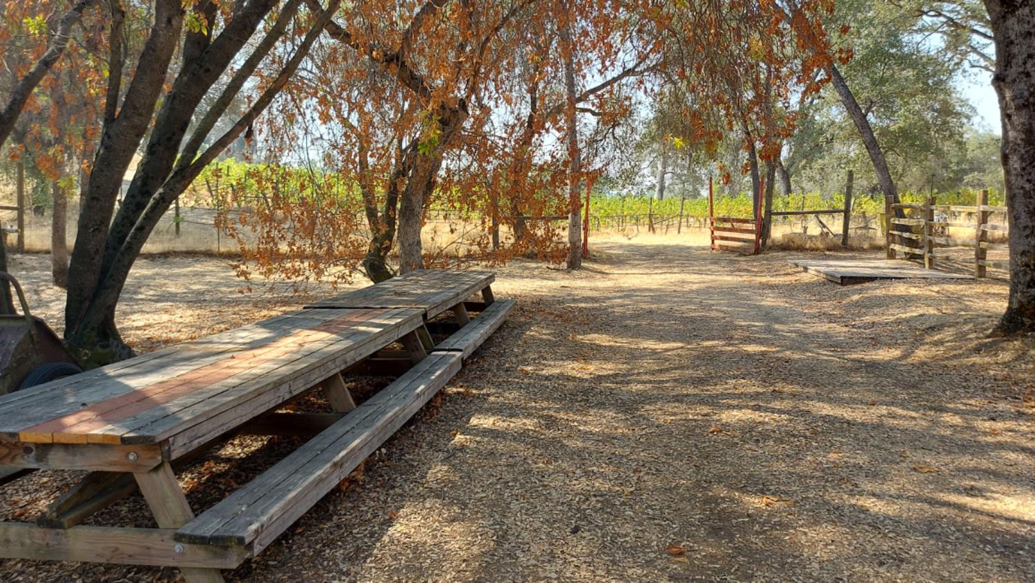49610 House Ranch Road O'Neals, CA 93645 - Photo 28 of 49 picnic area