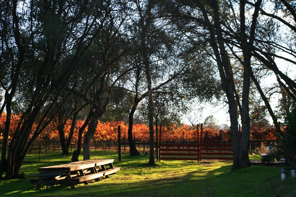 49610 House Ranch Road O'Neals, CA 93645 - Photo 29 of 49 Fall vineyard gate and picnic area