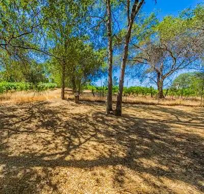 49610 House Ranch Road O'Neals, CA 93645 - Photo 32 of 49 view from cottage