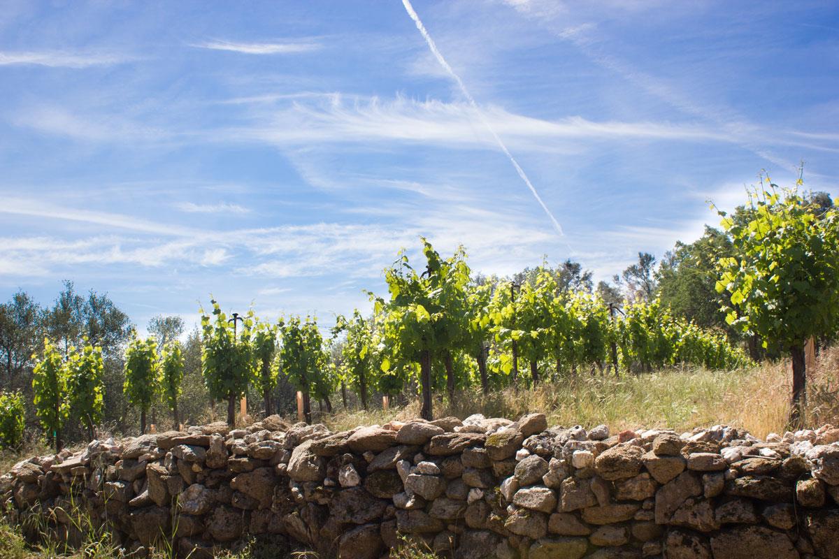 49610 House Ranch Road O'Neals, CA 93645 - Photo 33 of 49