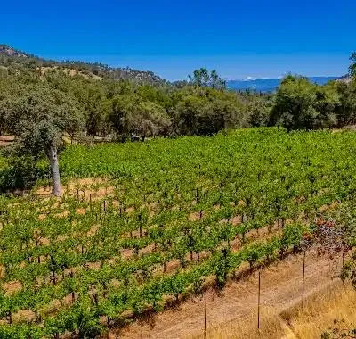 $875,000 | 49610 House Ranch Road, O'Neals, CA 93645