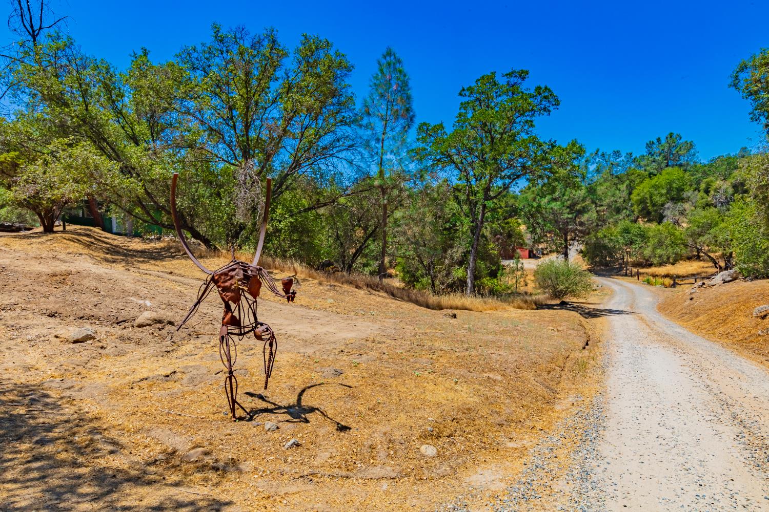 49610 House Ranch Road O'Neals, CA 93645 - Photo 7 of 49 Winegiest and driveway to winery