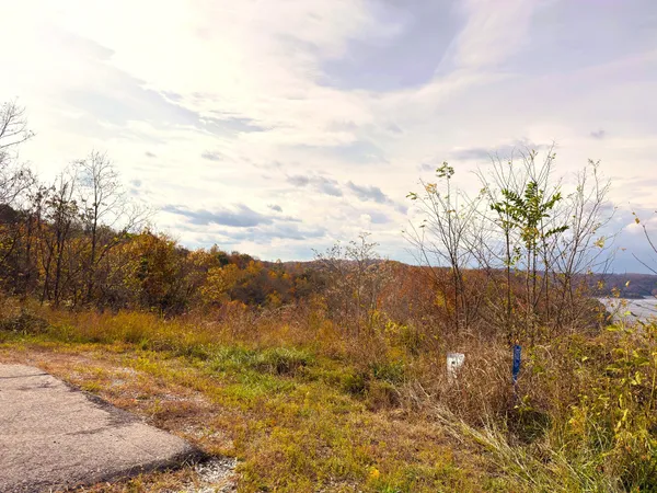a view of a chairs and tables in the backyard