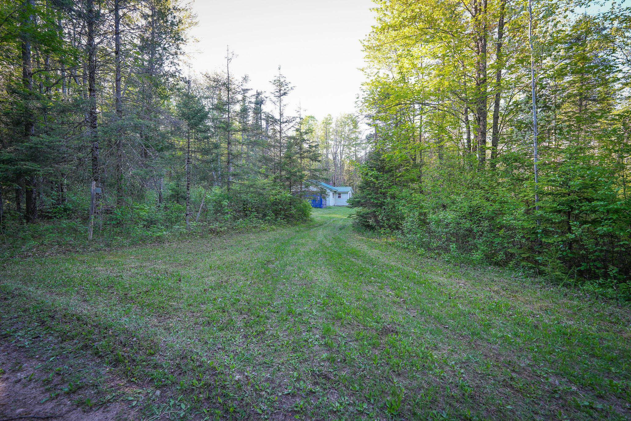 V/l V/l 33rd Road Perkins, MI 49872 - Photo 17 of 70 DSC00042