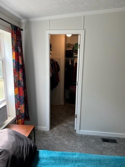 13849 Goodrich Road Ravenna, MI 49451 - Photo 11 of 21 Master closet