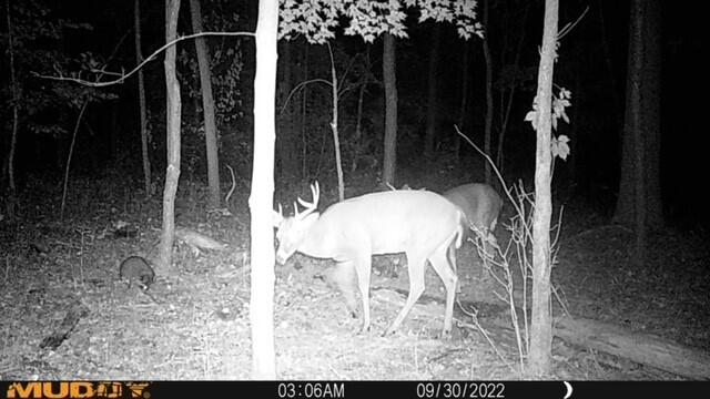 13849 Goodrich Road Ravenna, MI 49451 - Photo 15 of 21 Wildlife 1