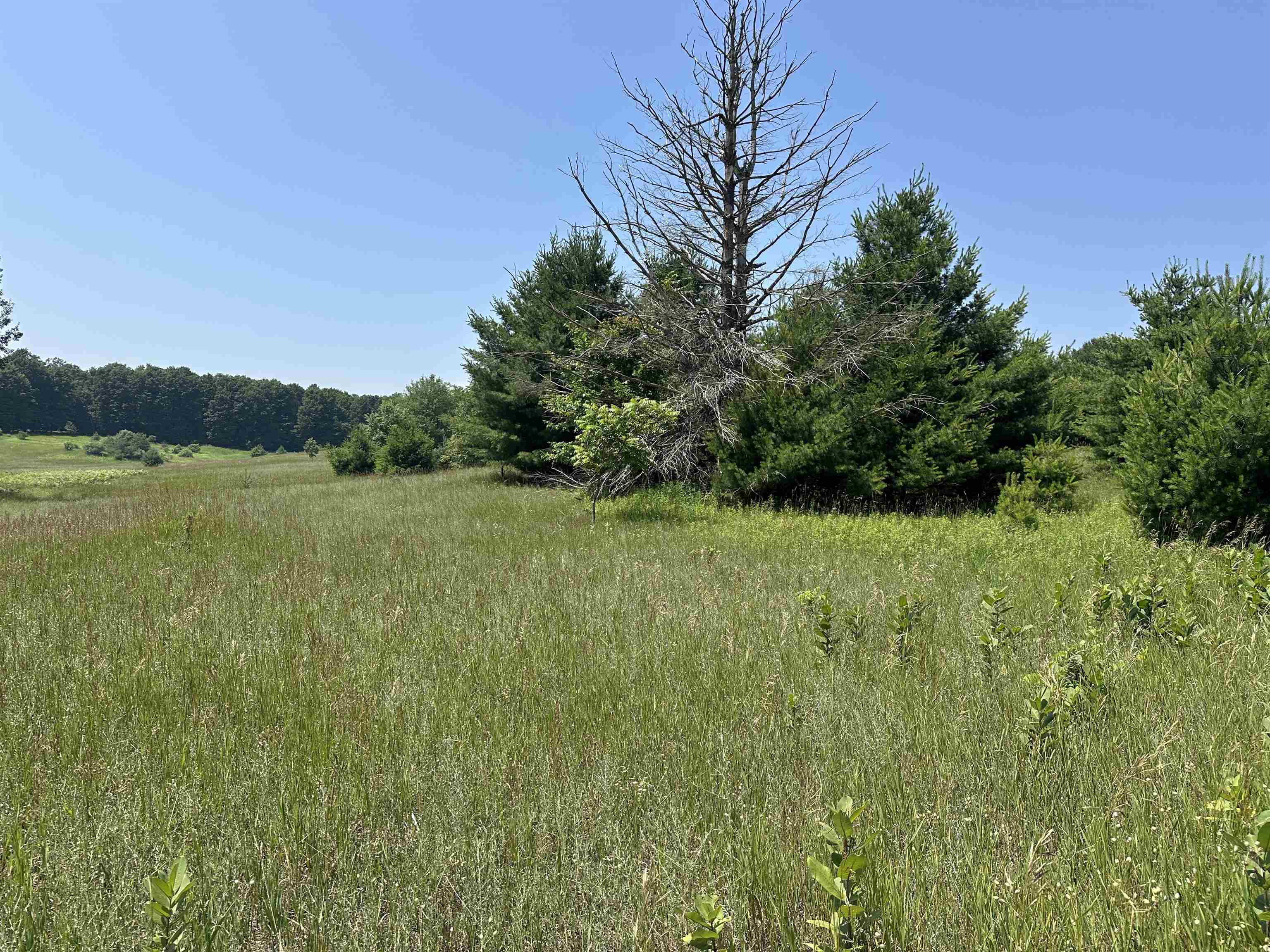 1 Bright Road Maple City, MI 49664 - Photo 2 of 6