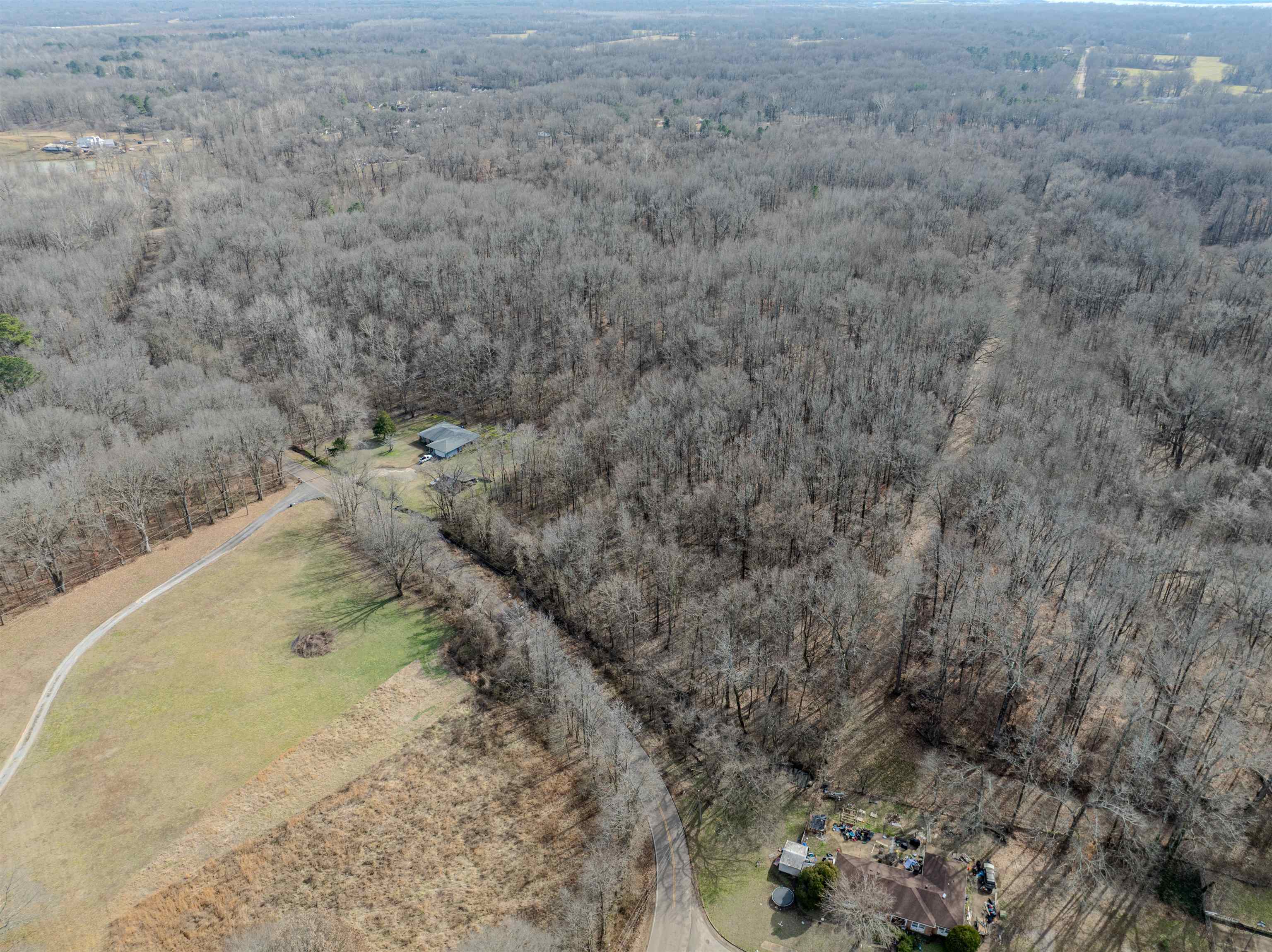 5155 Benjestown Road Memphis, TN 38127 - Photo 18 of 36 a view of a dry yard with trees
