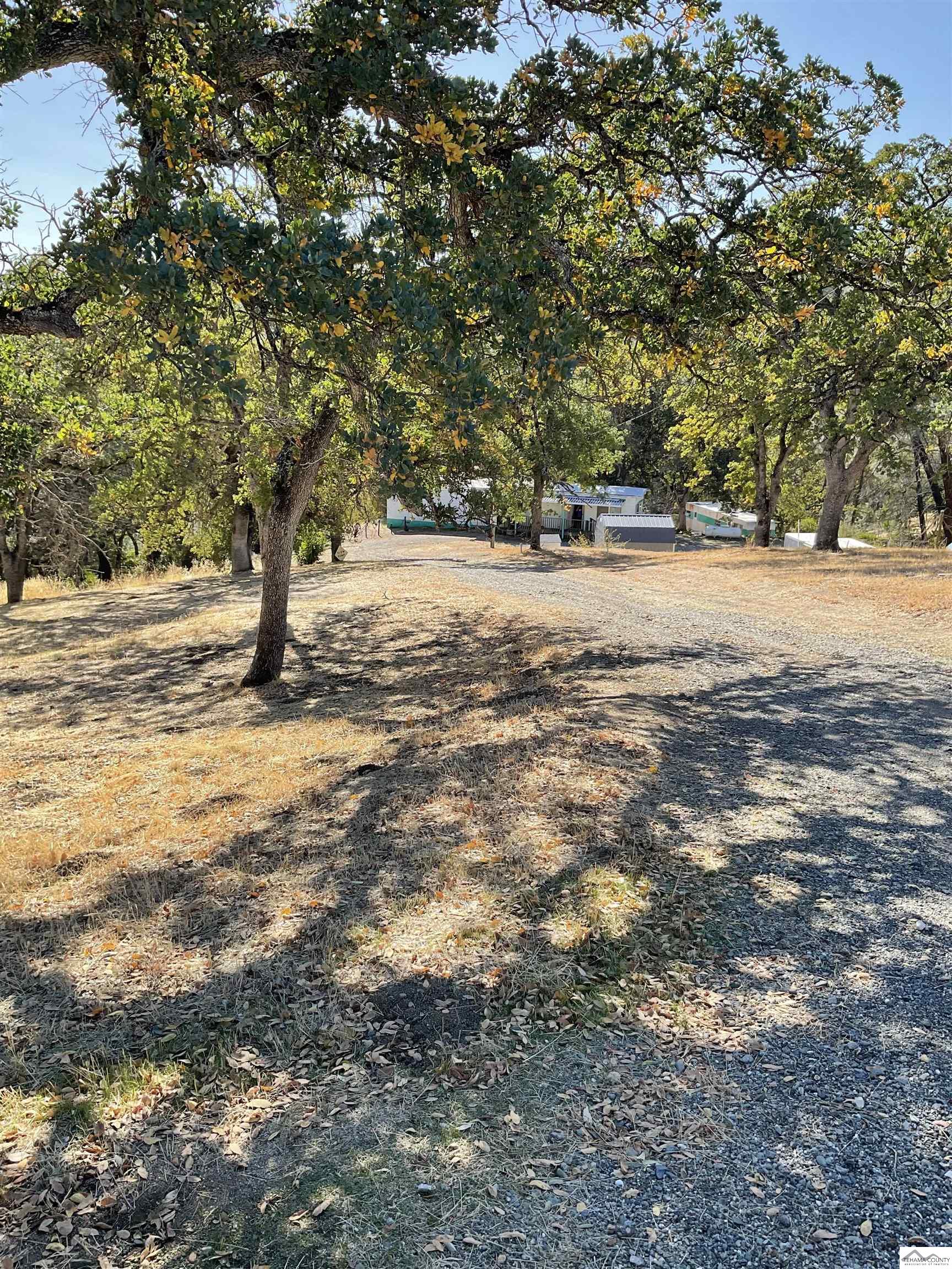 15897 Stagecoach Road Corning, CA 96021 - Photo 6 of 14