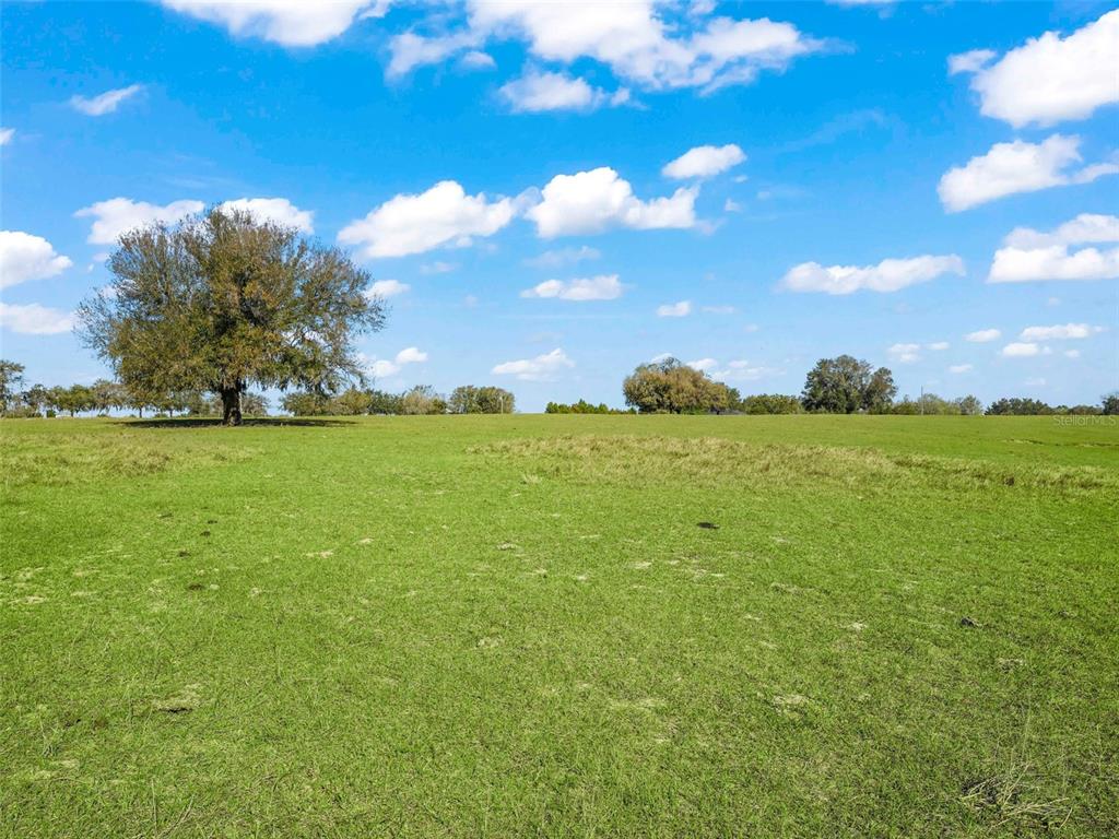 Honeycut Road Groveland, FL 34736 - Photo 1 of 1 Gallery Image 1
