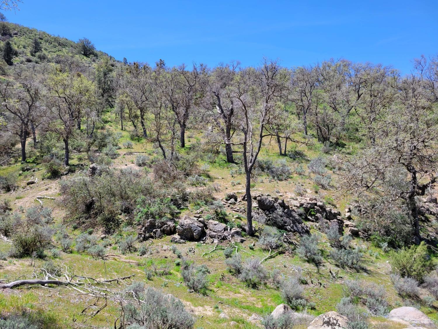 0 John Fremont Road Caliente, CA 93518 - Photo 24 of 39 Gallery Image 24