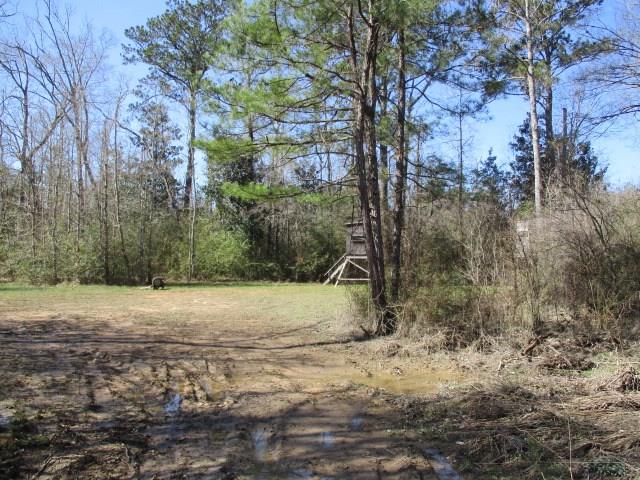 999 Reeves Road Franklinton, LA 70438 - Photo 1 of 8 Gallery Image 1