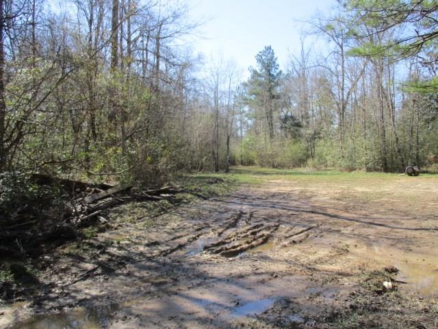999 Reeves Road Franklinton, LA 70438 - Photo 2 of 8 Gallery Image 2
