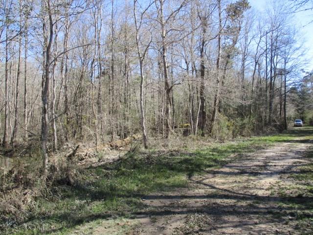 999 Reeves Road Franklinton, LA 70438 - Photo 3 of 8 Gallery Image 3