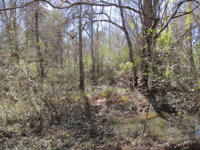 999 Reeves Road Franklinton, LA 70438 - Photo 4 of 8 Gallery Image 4