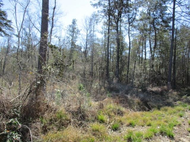 999 Reeves Road Franklinton, LA 70438 - Photo 5 of 8 Gallery Image 5