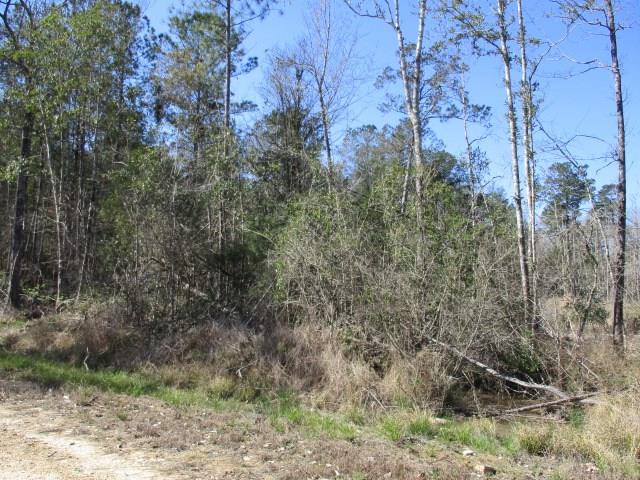 999 Reeves Road Franklinton, LA 70438 - Photo 6 of 8 Gallery Image 6