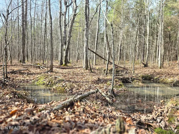 $180,000 | 0 Cottonwood Trail, Sunbright, TN 37872