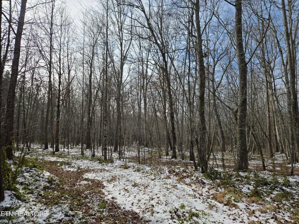 $180,000 | 0 Cottonwood Trail, Sunbright, TN 37872