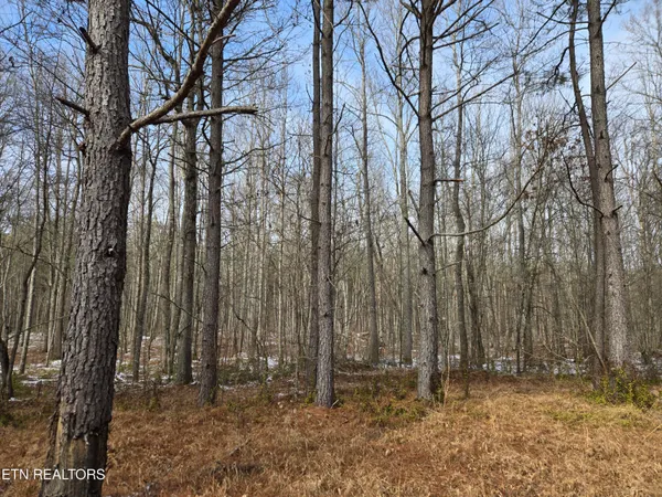 $180,000 | 0 Cottonwood Trail, Sunbright, TN 37872